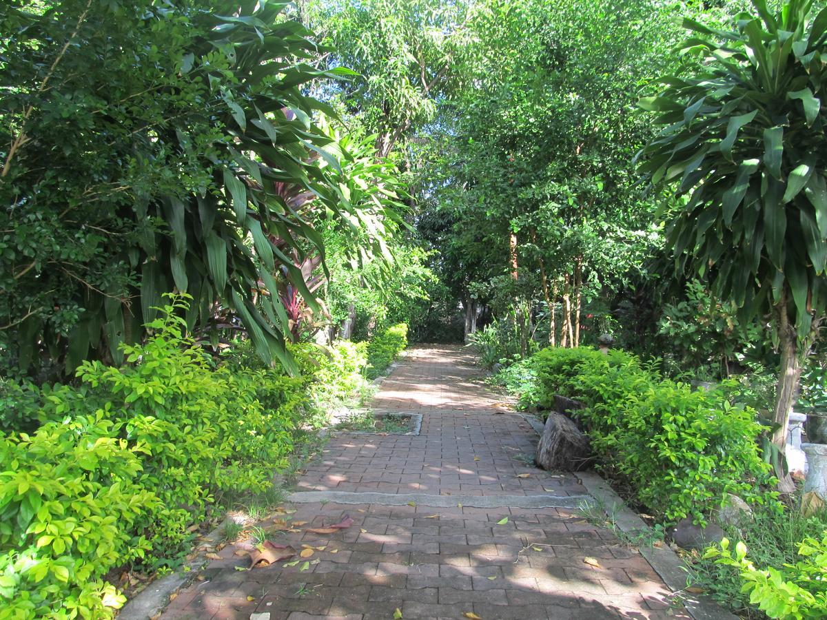 Backpackers And Travellers Hostel Neiva  Eksteriør bilde