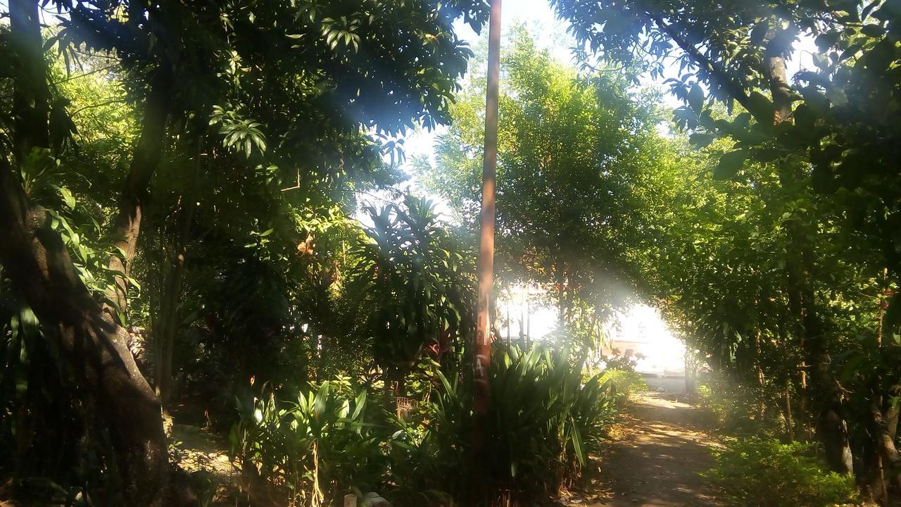 Backpackers And Travellers Hostel Neiva  Eksteriør bilde